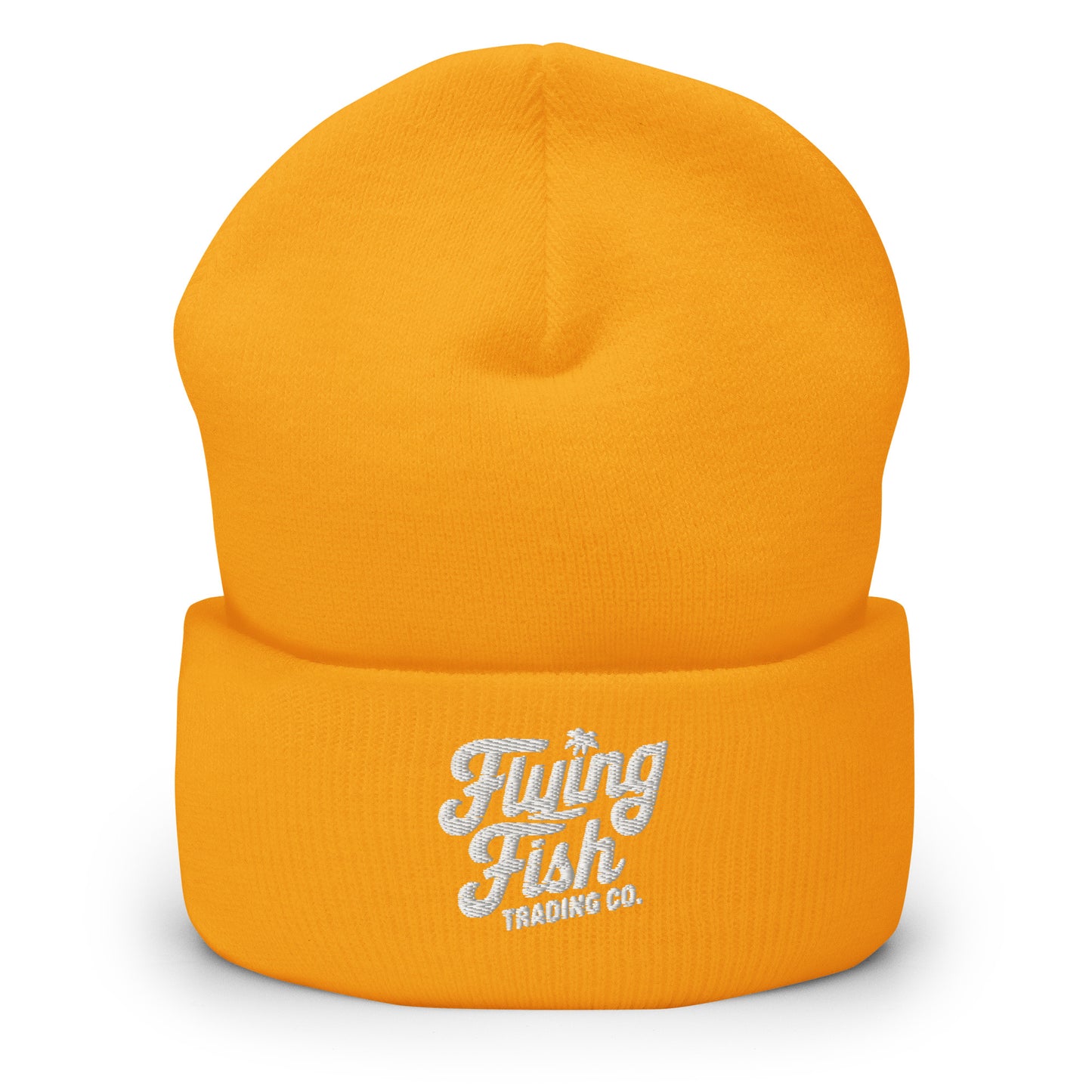 FFTC White Logo Beanie