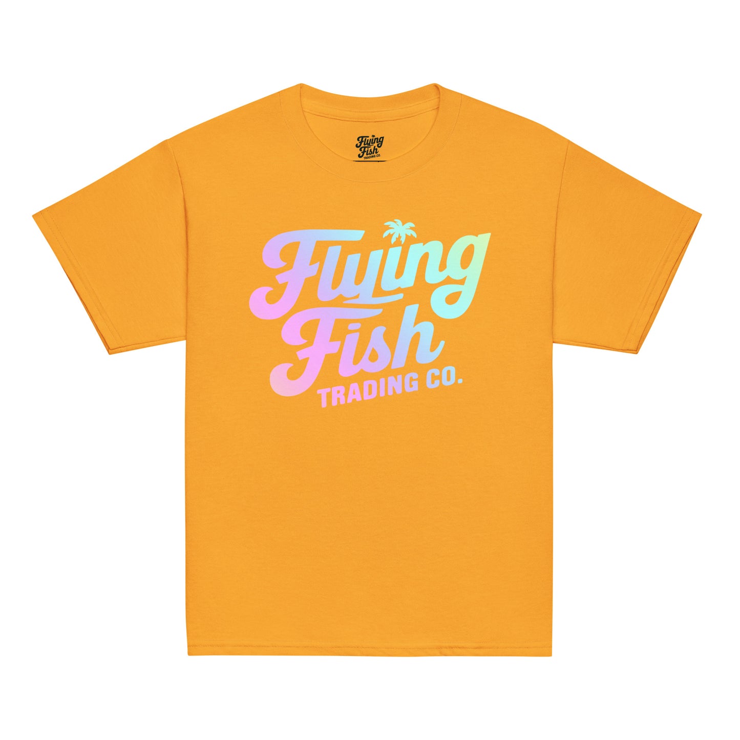 Kid's FFTC Rainbow (light) Logo Tee